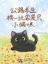 ��·��������һ�����ֻСè��